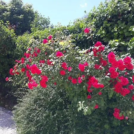 Cote Remparts 3* Provins